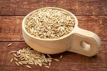 oat groats in wooden scoop