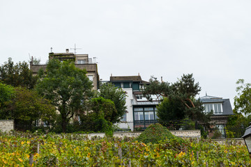Demeure au pied des vignes