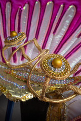 Carnival costume detail