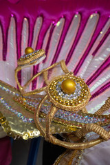 Carnival costume detail