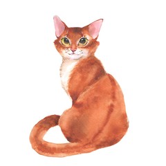 Fototapeta premium Ginger cat. isolated on white background Watercolor illustration