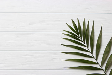 palm leaves on a wooden background with free space for text. a draft for a design. minimalism, creativity. flatlay