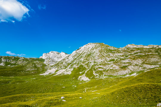 Mountain