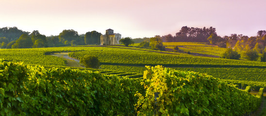 Landscape ,Poitou-Charentes, France