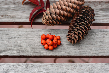 Still life of pine cones and berries of mountain ash on wooden boards, Christmas decorations.