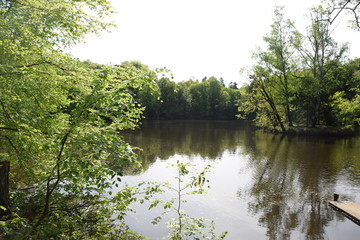 Kesselbruchweiher bei Frankfurt