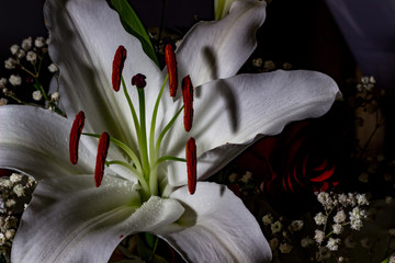 festive bouquet of lilies in red and white colors