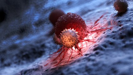 3d rendered medically accurate illustration of white blood cells attacking a cancer cell - obrazy, fototapety, plakaty