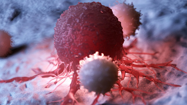 3d rendered medically accurate illustration of white blood cells attacking a cancer cell