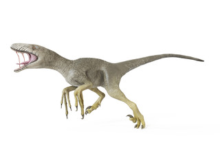 3d rendered illustration of a dakotaraptor