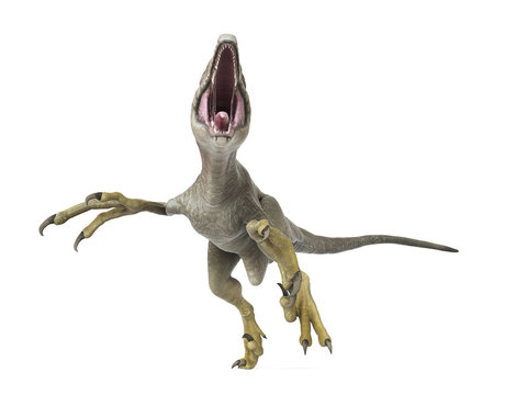 3d rendered illustration of a dakotaraptor