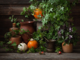 Fototapeta na wymiar Cozy autumn background with pumpkins, rustic ceramics jugs and ivy plants on wooden background with copy space