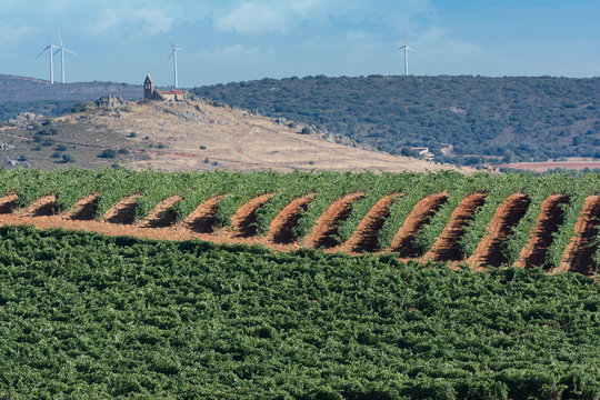 Economic resources in a rural area in the north of the province of Zamora in Spain, as an example of the fight against depopulation