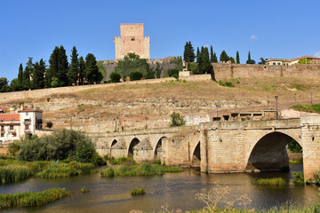 Obraz premium view of Ciudad Rodrigo, Salamanca province,Spain
