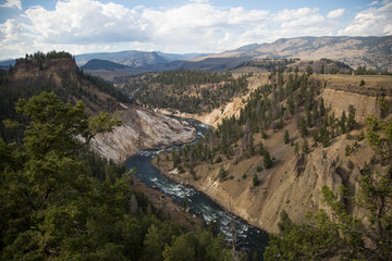 River running through the Grand Canyon in Yellowstone National Park, USA