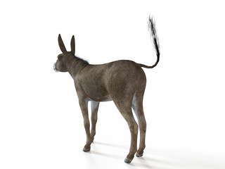 3d rendered illustration of a donkey