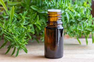 A bottle of mountain savory essential oil with fresh Satureja montana