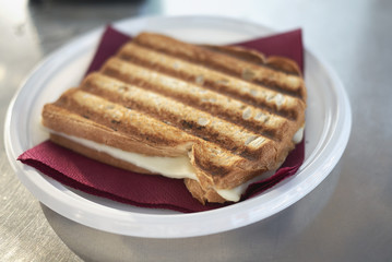Toasted bread with cheese