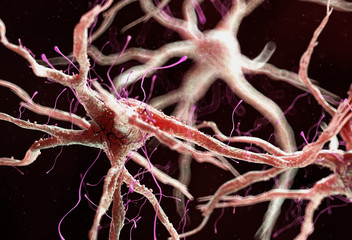 3d rendered medically accurate illustration of a healthy human nervous cell