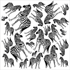 Pattern made of black and white zebras on a white background