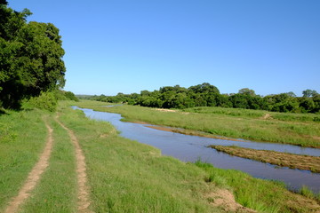 Fototapeta na wymiar Safari River Green Fields