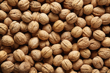 Fresh whole walnuts, filling the picture.