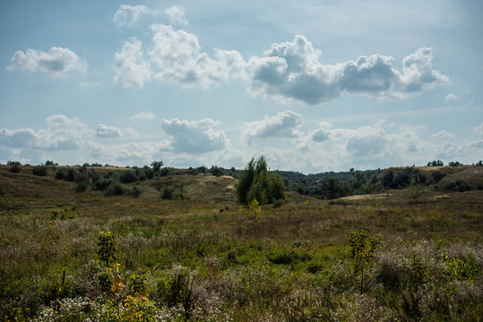 Summer landscape with fields, meadows and cloudy sky