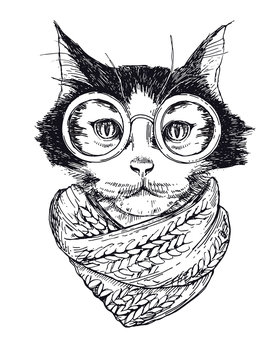 Vector Funny smart intelligent cat in glasses closeup. Portrait cool hipster cat in a winter scarf. Colored book vector illustration.
