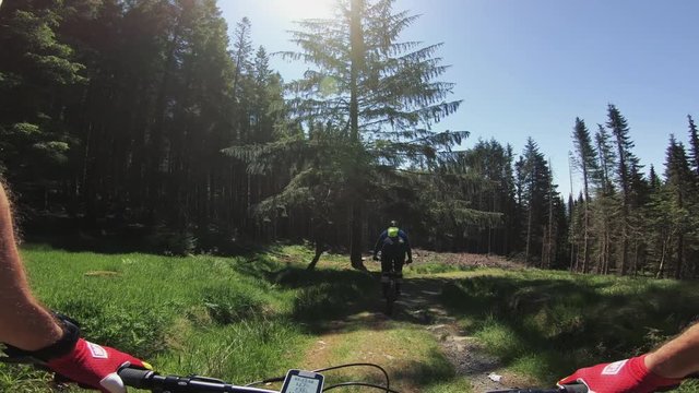 Point of view mountain bike in the forest