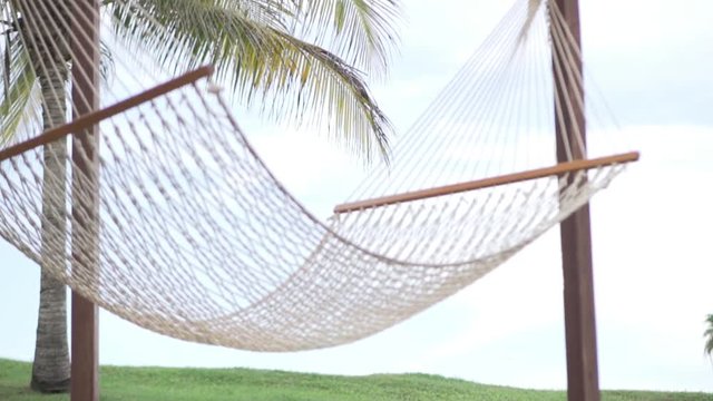 A beautiful picture. The hammock is suspended between palms. Its peg is wind. No people. Complete relaxation. Vacation. Beautiful screensaver on your computer or to relax videos