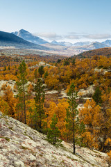 Autumn in rondane national park