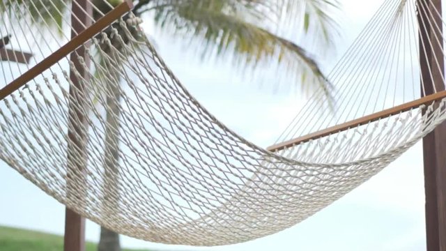 A beautiful picture. The hammock is suspended between palms. Below is the green grass. Its peg is wind. No people. Complete relaxation. Vacation.