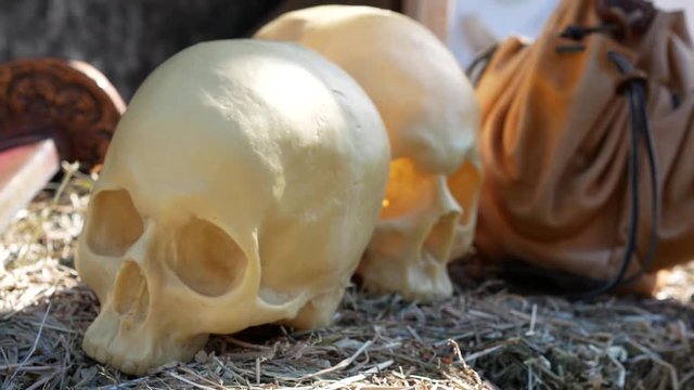 Human skulls, sword and a bag with gold coins