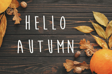 Hello Autumn Text. Hello Fall sign on Pumpkin, autumn vegetables with colorful leaves,acorns,nuts on wooden rustic table, flat lay. Seasons greeting card. Atmospheric image
