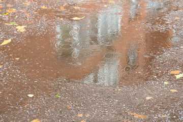 puddle wet asphalt road near urban house in rain