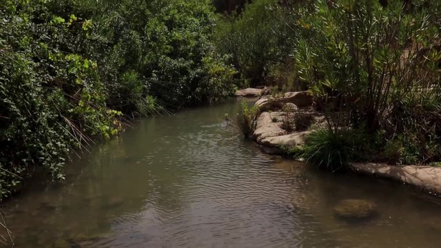 Rivers and hills on a windy day in Algeria, Tlemcen on a sunny day, pebbles visible under water
