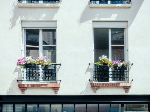 Fenêtre et fleur, Montmartre, Paris