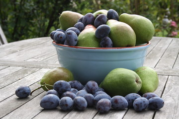 Birnen und Pflaumen in blauer Schüssel auf Holztisch