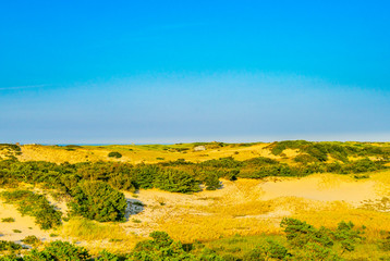 Sand Dunes and Grass of the Provincelands Cape Cod MA US.