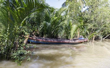 Long boat under green plants at Mekong river in Vietnam