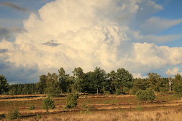 Wunderschöne Gewitterwolken über der Lüneburger Heide