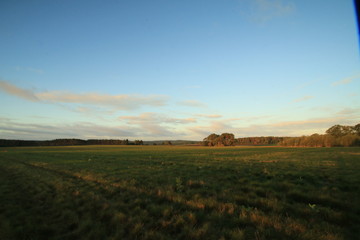 D&auml;mmerung auf einer gro&szlig;en Wiese in der L&uuml;neburger Heide