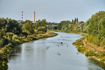 Training of rowers on the Warta River in Poznan.