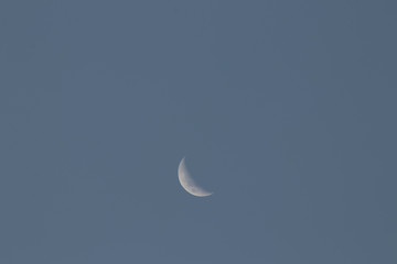 Obraz na płótnie Canvas Crescent moon in blue summer sky