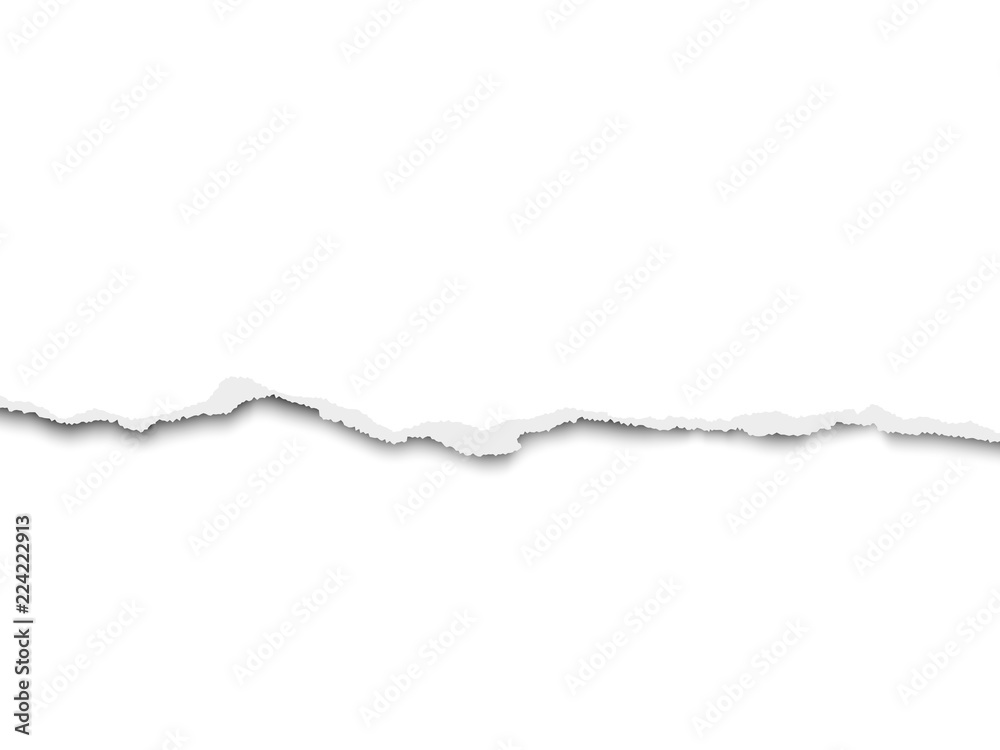 Wall mural torn bottom side of sheet of white paper placed horizontal from left to right. vector paper mockup.