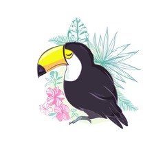 Obraz premium An illustration of a nice toucan in vector format. A cute toucan bird image for kid's education and fun in nursery and schools, and decoration purposes. Jungle animals collection