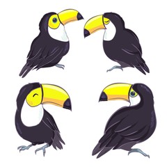 An illustration of a nice toucan in vector format. A cute toucan bird image for kid's education and fun in nursery and schools, and decoration purposes. Jungle animals collection