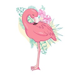 Flamingo bird illustration design on background