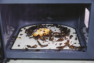 Shards of  glass plate in microwave oven