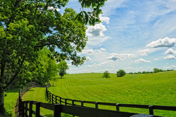 Fototapeta na wymiar Landscape of the Bluegrass Region of Kentucky
